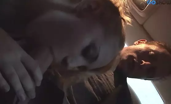 Fulfilling Tempting Fantasies in a Taxi